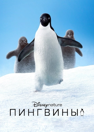 Пингвины