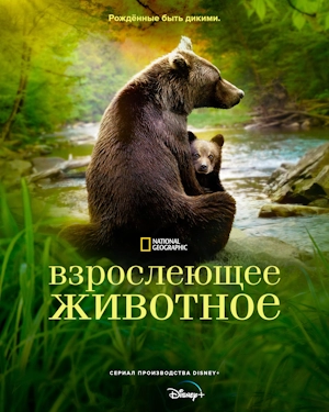 Взрослеющее животное